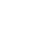 lg icon